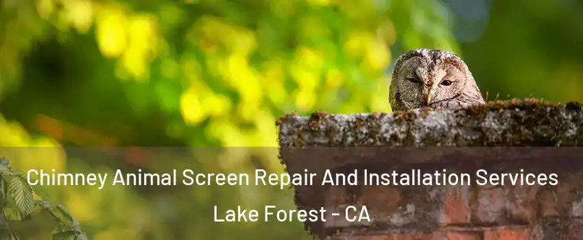  Chimney Animal Screen Repair And Installation Services Lake Forest - CA