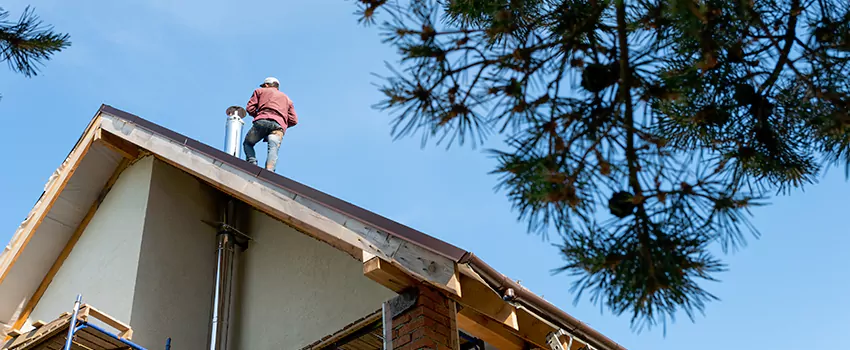 Birds Removal Contractors from Chimney in Lake Forest, CA